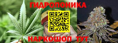 стафф Иваново