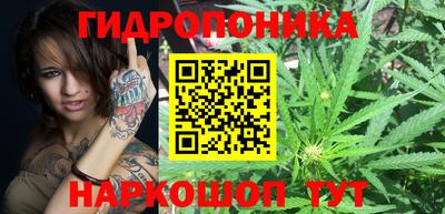 гидропоника Ивантеевка